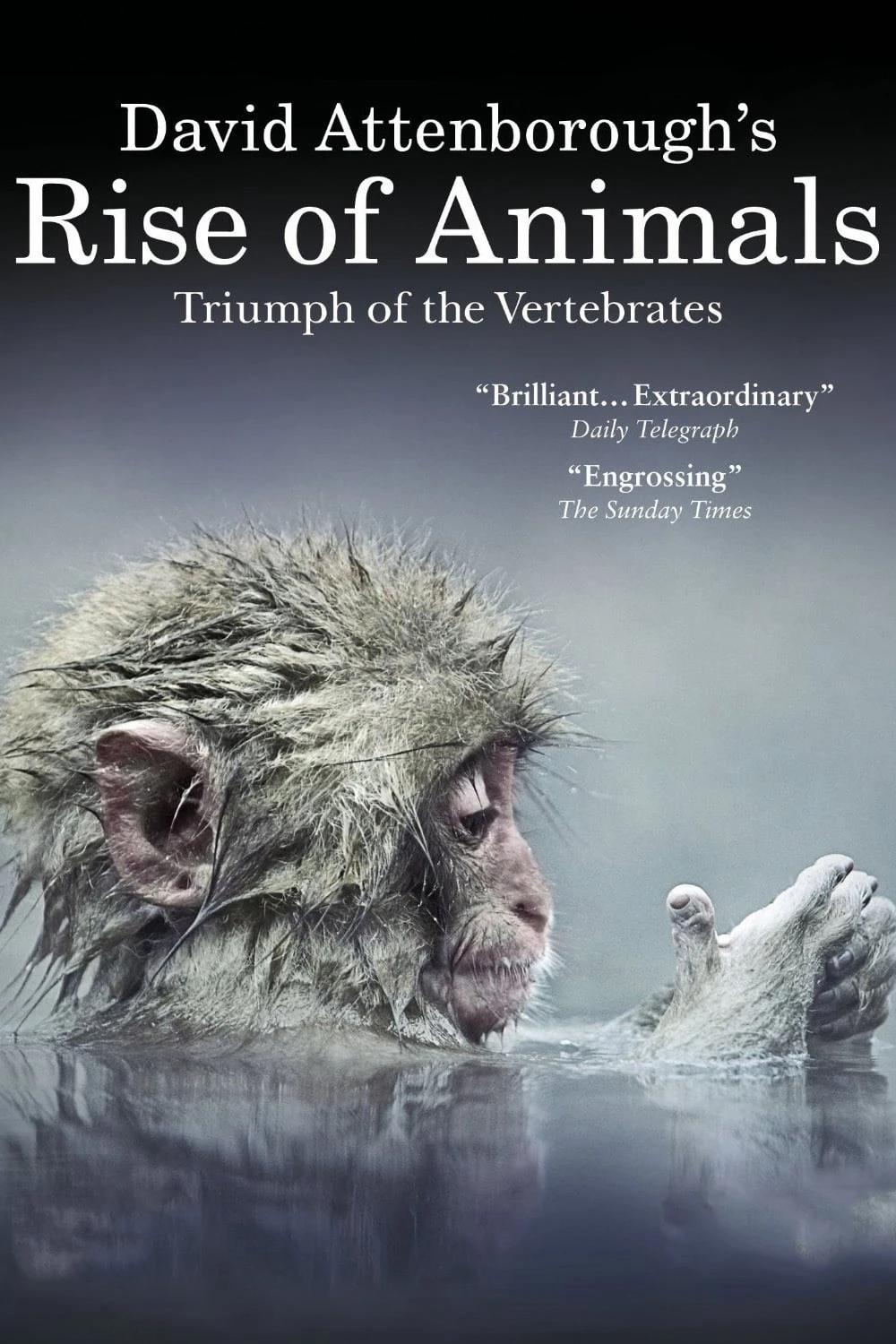 David Attenborough's Rise of Animals: Triumph of the Vertebrates | David Attenborough's Rise of Animals: Triumph of the Vertebrates (2013) David Attenborough's Rise of Animals: Triumph of the Vertebrates | David Attenborough's Rise of Animals: Triumph of the Vertebrates (2013)