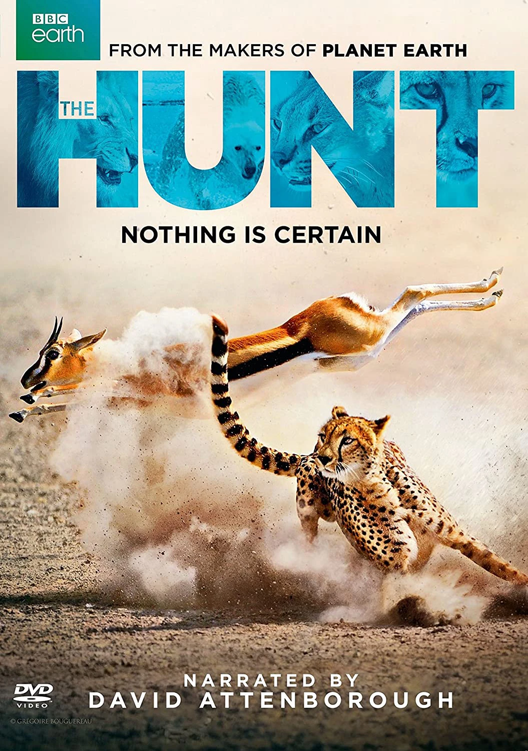 Săn Mồi | BBC: The Hunt (2015) Săn Mồi | BBC: The Hunt (2015)